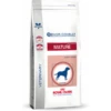 Royal Canin Veterinary Diet Medium Dog Senior Consult Mature – Hondenvoer – 3.5 Kg -Pet Verkoop 3182550782036 1