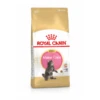 Royal Canin Maine Coon Kitten – Kitten-Kattenvoer – 2 Kg -Pet Verkoop 3182550816502 1