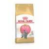 Royal Canin British Shorthair Kitten – Kitten-Kattenvoer – 2 Kg 1 Royal Canin British Shorthair Kitten – Kitten-Kattenvoer – 2 Kg -Pet Verkoop 3182550816533 1