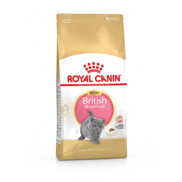 Royal Canin British Shorthair Kitten – Kitten-Kattenvoer – 2 Kg 3 Royal Canin British Shorthair Kitten – Kitten-Kattenvoer – 2 Kg