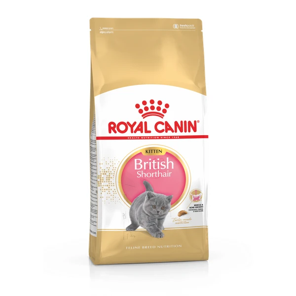 Royal Canin British Shorthair Kitten – Kitten-Kattenvoer – 10 Kg 3 Royal Canin British Shorthair Kitten – Kitten-Kattenvoer – 10 Kg