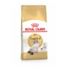 Royal Canin Ragdoll Adult – Kattenvoer – 2 Kg -Pet Verkoop 3182550825351 1