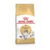 Royal Canin Norwegian Forest Cat Adult – Kattenvoer – 2 Kg -Pet Verkoop 3182550825399 1