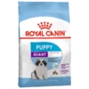 Royal Canin Giant – Puppy-Hondenvoer – 3.5 Kg 1 Royal Canin Giant – Puppy-Hondenvoer – 3.5 Kg -Pet Verkoop 3182550879873 1