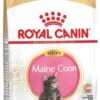 Royal Canin Maine Coon Kitten - Kattenvoer - 4 Kg -Pet Verkoop 578x1200 1