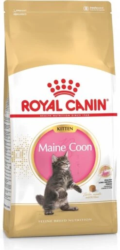 Royal Canin Maine Coon Kitten – Kattenvoer – 10 Kg