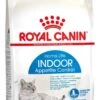 Royal Canin Indoor Appetite Control – Kattenvoer – 4 Kg -Pet Verkoop 625x1200