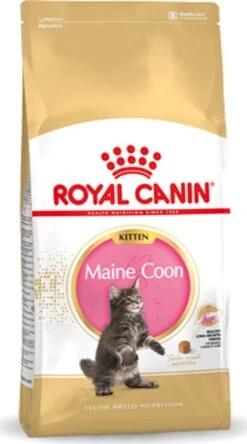 Royal Canin Maine Coon Kitten - Kattenvoer - 4 Kg -Pet Verkoop 668x1200 1