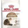 Royal Canin Ageing +12 Kattenvoer 2x 400 Gr 1 Royal Canin Ageing +12 Kattenvoer 2x 400 Gr -Pet Verkoop 748x1200 6