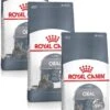 Royal Canin Fcn Oral Care – Kattenvoer – 3 X 1.5 Kg -Pet Verkoop 777x1200