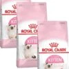 Royal Canin Fhn Kitten – Kattenvoer – 3 X 2 Kg -Pet Verkoop 794x1200