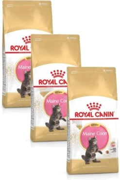 Royal Canin Maine Coon Kitten – Kattenvoer – 3 X 2 Kg