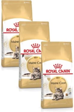 Royal Canin Fbn Mainecoon Adult – Kattenvoer – 3 X 2 Kg