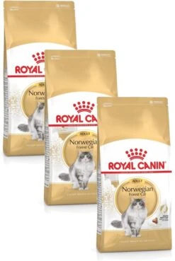 Royal Canin Norwegian Forest Cat Adult – Kattenvoer – 3 X 2 Kg