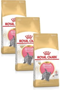 Royal Canin British Shorthair Kitten – Kattenvoer – 3 X 2 Kg