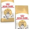 Royal Canin Fbn Norwegian Forest Cat Adult – Kattenvoer – 2 X 10 Kg 2 Royal Canin Fbn Norwegian Forest Cat Adult – Kattenvoer – 2 X 10 Kg -Pet Verkoop 834x1200 1