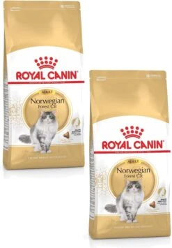 Royal Canin Fbn Norwegian Forest Cat Adult – Kattenvoer – 2 X 10 Kg