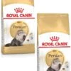 Royal Canin Fbn Persian Adult – Kattenvoer – 2 X 4 Kg -Pet Verkoop 834x1200