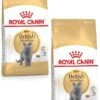 Royal Canin Fbn British Shorthair – Kattenvoer – 2 X 4 Kg 1 Royal Canin Fbn British Shorthair – Kattenvoer – 2 X 4 Kg -Pet Verkoop 841x1200