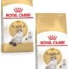 Royal Canin Fbn Ragdoll Adult – Kattenvoer – 2 X 10 Kg -Pet Verkoop 841x1200 2