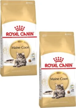 Royal Canin Fbn Mainecoon Adult – Kattenvoer – 2 X 4 Kg