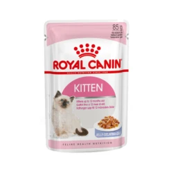 Royal Canin Kitten In Jelly – Kitten-Kattenvoer – 12×85 G