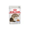 Royal Canin Ageing +12 In Jelly – Kattenvoer – 12×85 G