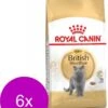 Royal Canin Fbn British Shorthair – Kattenvoer – 6 X 2 Kg -Pet Verkoop 909x1200 1