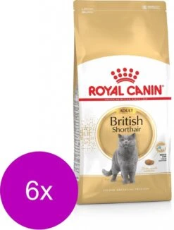 Royal Canin Fbn British Shorthair – Kattenvoer – 6 X 2 Kg
