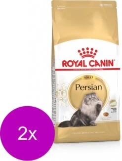Royal Canin Fbn Persian Adult – Kattenvoer – 2 X 10 Kg