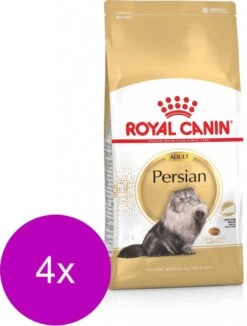 Royal Canin Fbn Persian Adult – Kattenvoer – 4 X 4 Kg