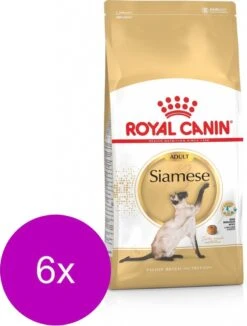 Royal Canin Fbn Siamese Adult – Kattenvoer – 6 X 2 Kg