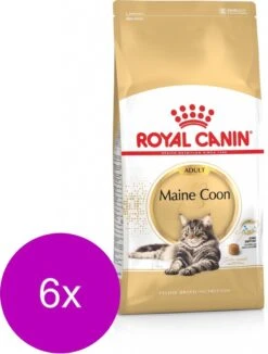 Royal Canin Fbn Mainecoon Adult – Kattenvoer – 6 X 400 G