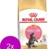 Royal Canin Fbn Kitten Maine Coon – Kattenvoer – 2 X 4 Kg -Pet Verkoop 911x1200 1