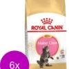 Royal Canin Fbn Kitten Maine Coon – Kattenvoer – 6 X 400 G -Pet Verkoop 911x1200