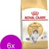 Royal Canin Norwegian Forest Cat Adult – Kattenvoer – 6 X 2 Kg 1 Royal Canin Norwegian Forest Cat Adult – Kattenvoer – 6 X 2 Kg -Pet Verkoop 915x1200