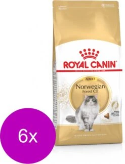 Royal Canin Norwegian Forest Cat Adult – Kattenvoer – 6 X 2 Kg