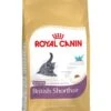 Royal Canin British Shorthair Kitten – Kattenvoer – 400 G -Pet Verkoop 916x1200