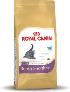 Royal Canin British Shorthair Kitten – Kattenvoer – 400 G