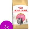 Royal Canin Persian Kitten – Kattenvoer – 3 X 2 Kg -Pet Verkoop 919x1200