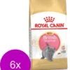 Royal Canin British Shorthair Kitten – Kitten-Kattenvoer – 6 X 2 Kg -Pet Verkoop 929x1200