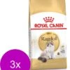 Royal Canin Ragdoll Adult – Kattenvoer – 3 X 2 Kg 2 Royal Canin Ragdoll Adult – Kattenvoer – 3 X 2 Kg -Pet Verkoop 939x1200