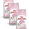 Royal Canin Fhn Mother & Babycat – Kattenvoer – 3 X 2 Kg -Pet Verkoop 945x1200