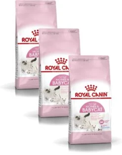 Royal Canin Fhn Mother & Babycat – Kattenvoer – 3 X 2 Kg