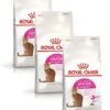 Royal Canin Fhn Savour Exigent – Kattenvoer – 3 X 2 Kg -Pet Verkoop 946x1200