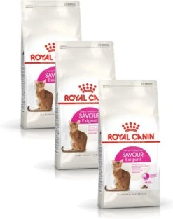 Royal Canin Fhn Savour Exigent – Kattenvoer – 3 X 2 Kg