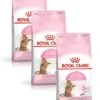 Royal Canin Fhn Kitten Sterilised – Kattenvoer – 3 X 2 Kg -Pet Verkoop 947x1200