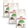 Royal Canin Fhn Outdoor – Kattenvoer – 3 X 2 Kg -Pet Verkoop 949x1200 6