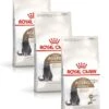 Royal Canin Ageing Sterilised 12+ – Kattenvoer – 3 X 2 Kg