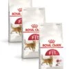 Royal Canin Fhn Fit 32 – Kattenvoer – 3 X 2 Kg -Pet Verkoop 955x1200